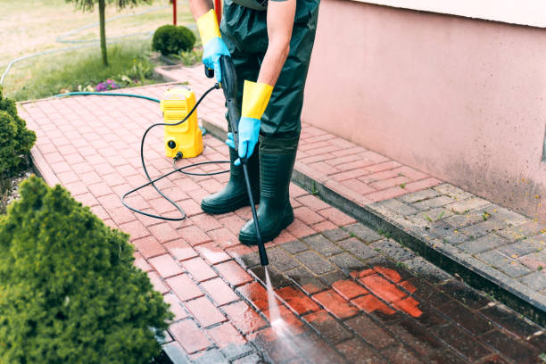 Best Window and Screen Pressure Cleaning in Biscoe, NC