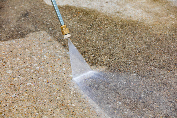 Best Soft Washing for Delicate Surfaces in Biscoe, NC
